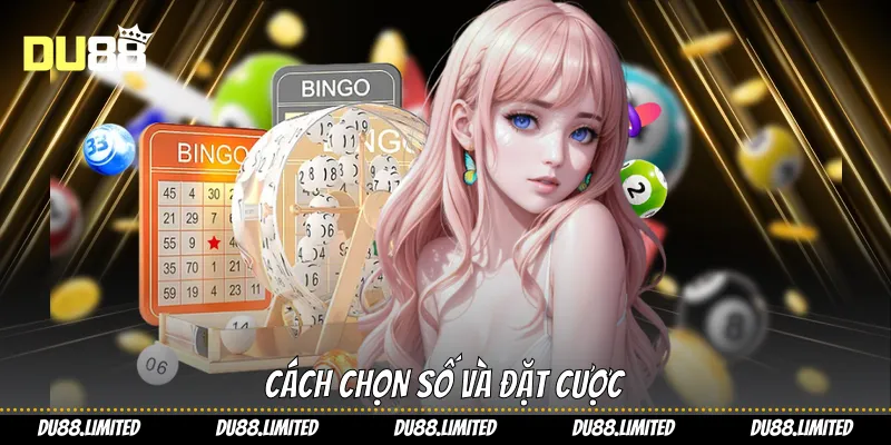 Xổ Số Du88 - Trải Nghiệm Dự Đoán Minh Bạch Và Hấp Dẫn Cách chọn số và đặt cược