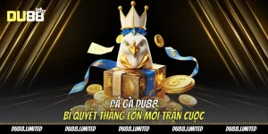 Đá gà Du88